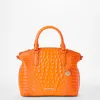 Brahmin 