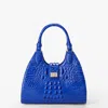 Brahmin 