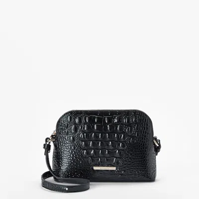 Brahmin Amal In Black