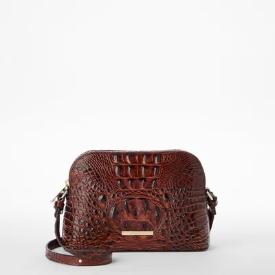 Brahmin Amal In Brown