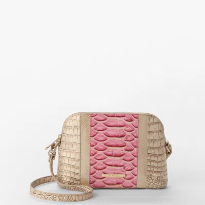 Brahmin Amal In Multi