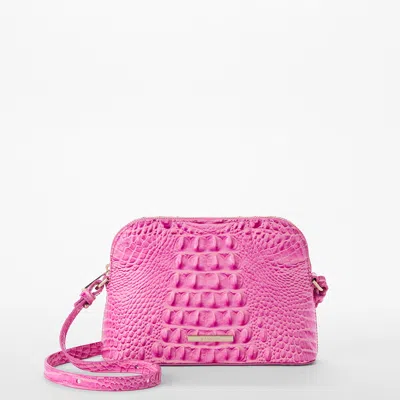Brahmin Amal In Pink