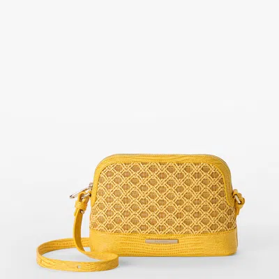 Brahmin Amal In Yellow