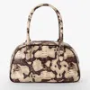 Brahmin Angie