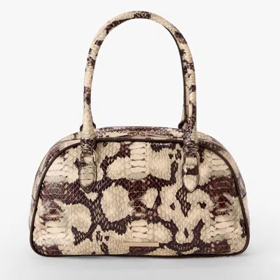 Brahmin Angie