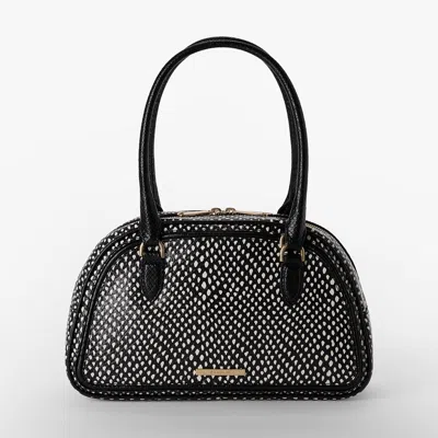 Brahmin Angie