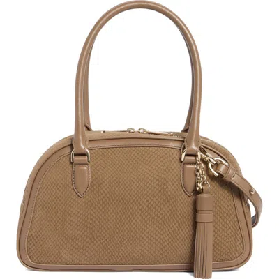 Brahmin Angie Snakeskin Embossed Leather Satchel In Taupe Belcanto
