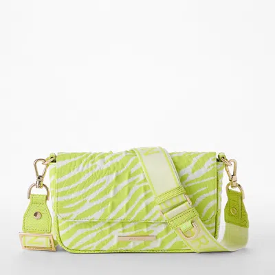 Brahmin Ayla In Green