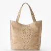 Brahmin Brayden