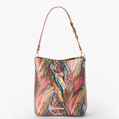 Brahmin Celina