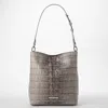 Brahmin Celina