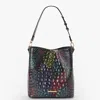Brahmin Celina In Multi