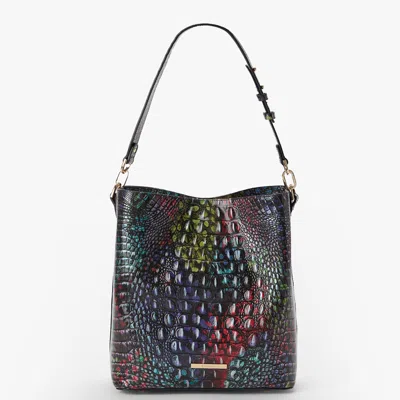 Brahmin Celina In Multi
