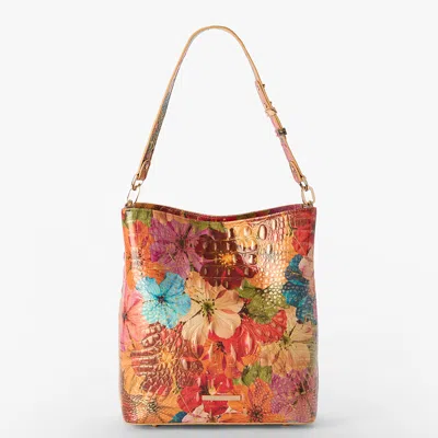 Brahmin Celina In Multi