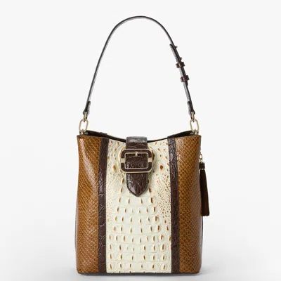 Brahmin Celina In Multi