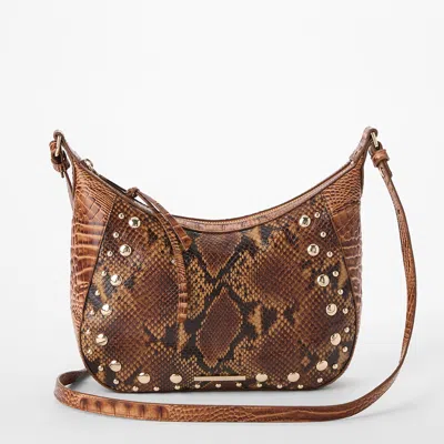 Brahmin Corinne