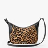 Brahmin Corinne