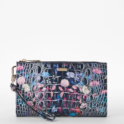 Brahmin Daisy