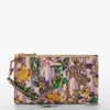 Brahmin Daisy In Multi