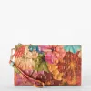 Brahmin Daisy In Multi
