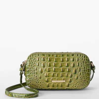 Brahmin Danica