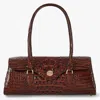 Brahmin Dayan In Brown