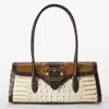 Brahmin Dayan In Multi