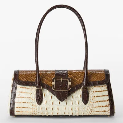 Brahmin Dayan In Multi
