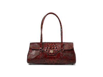 Brahmin Dayan In Brown