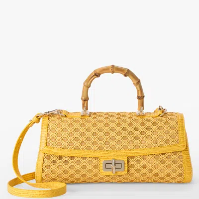 Brahmin Dayan In Yellow