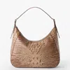 Brahmin Edie