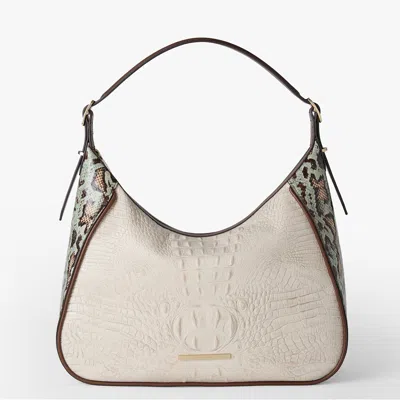 BRAHMIN EDIE