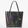 Brahmin Ezra In Multi