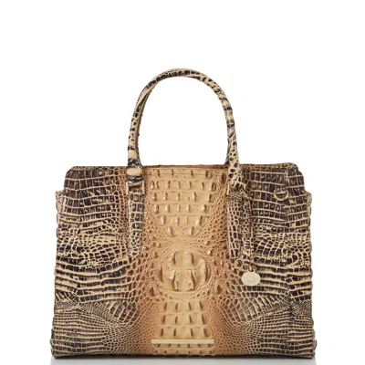 Brahmin Finley Carryall Pastry Ombre Melbourne In Brown