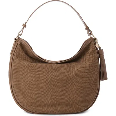 Brahmin Kathleen Snake Embossed Leather Shoulder Bag In Taupe Belcanto