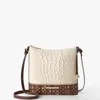 Brahmin Katie
