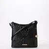 Brahmin Katie