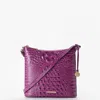Brahmin Katie