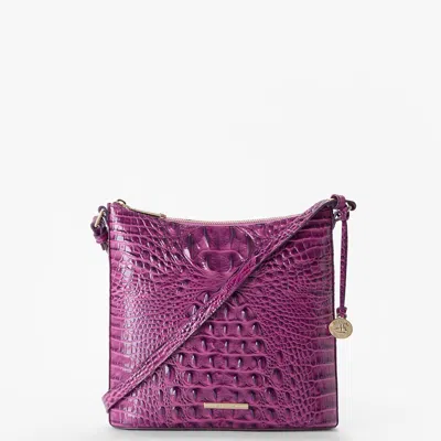 Brahmin Katie