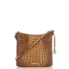 Brahmin Katie