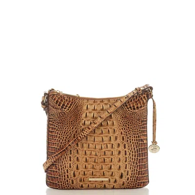 Brahmin Katie