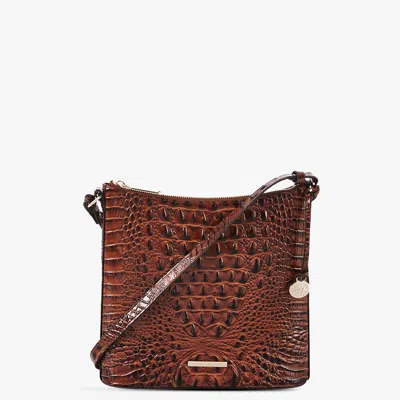 BRAHMIN KATIE