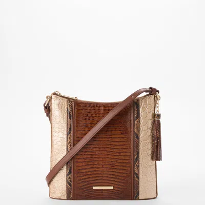 Brahmin Katie In Brown