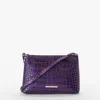 Brahmin Lorelei