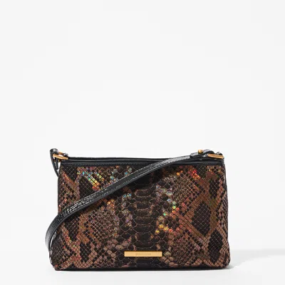 Brahmin Lorelei In Brown