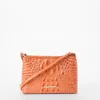 Brahmin Lorelei In Brown