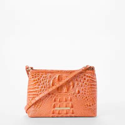 Brahmin Lorelei In Brown