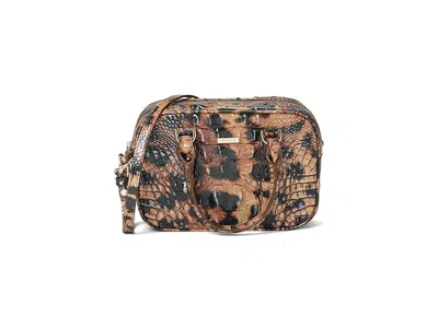 Brahmin Mara In Brown