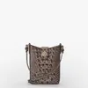 Brahmin Marley
