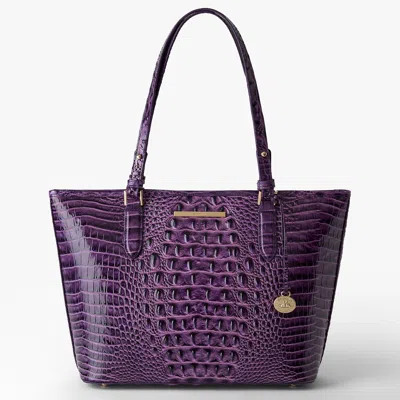 Brahmin Medium Asher